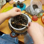 phoca_thumb_m_zajci a krmtko 17 Fotogalerie